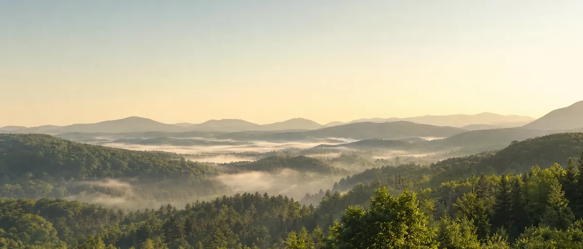 Weiter Blick über neblige, bewaldete Bergrücken am Morgen